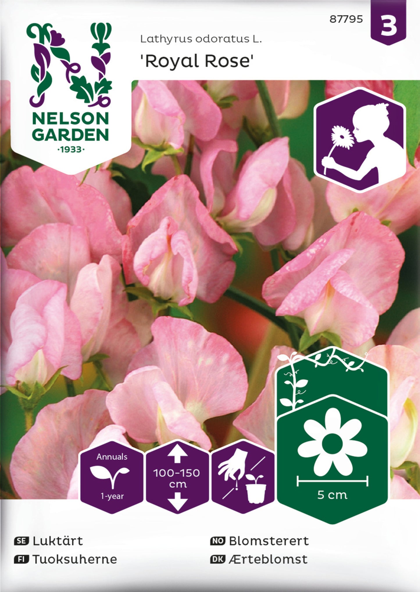 Luktärt, Royal Rose, rosa
