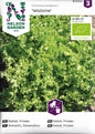 Sallat, Frisée, Wallone, Organic