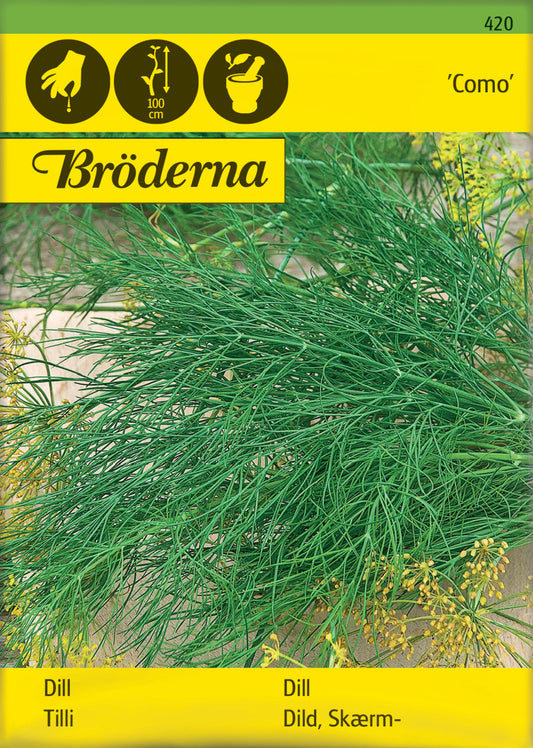 Dill, Vanlig, Como