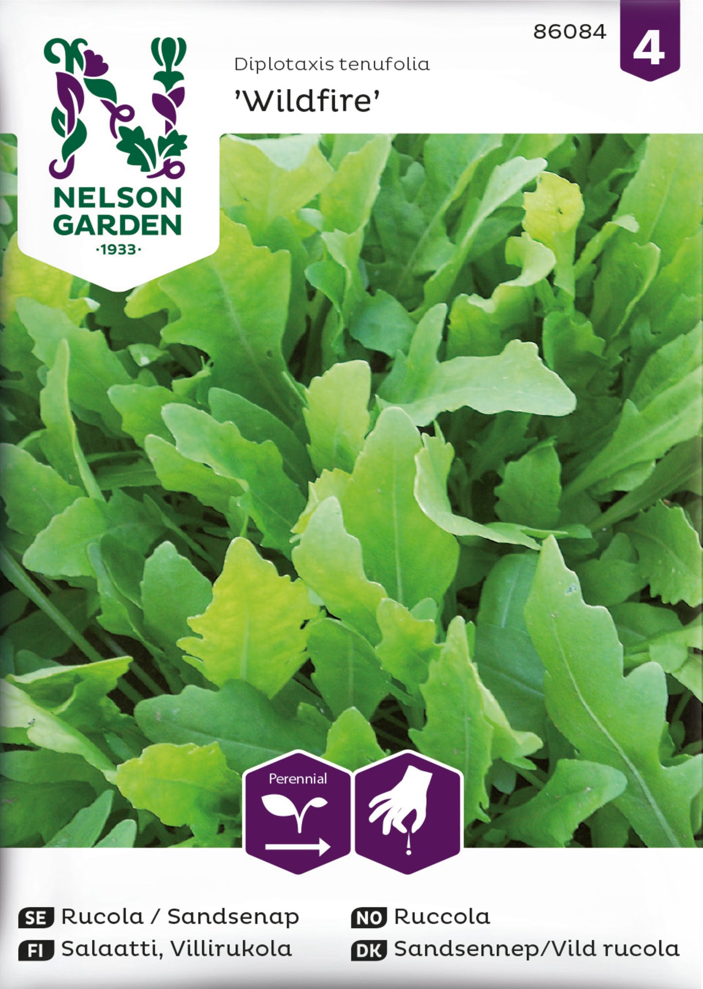 Rucola / Sandsenap, Wildfire