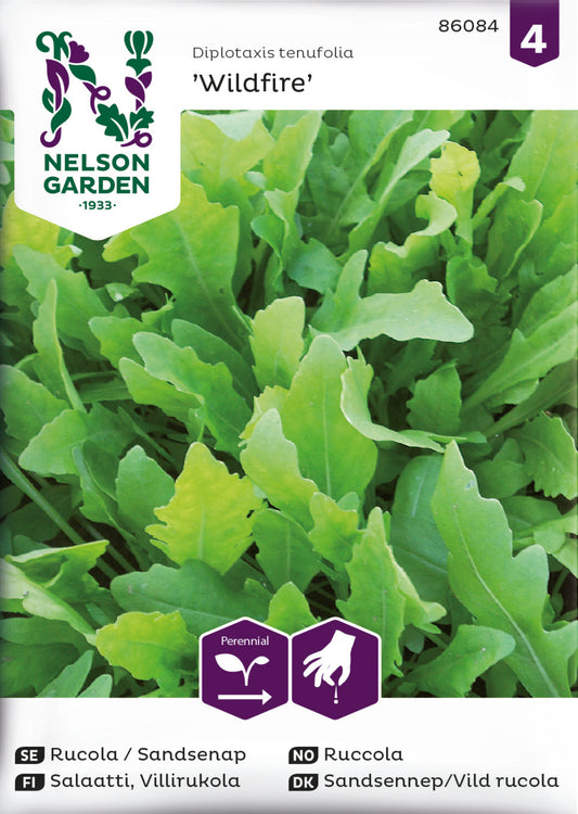 Rucola / Sandsenap, Wildfire