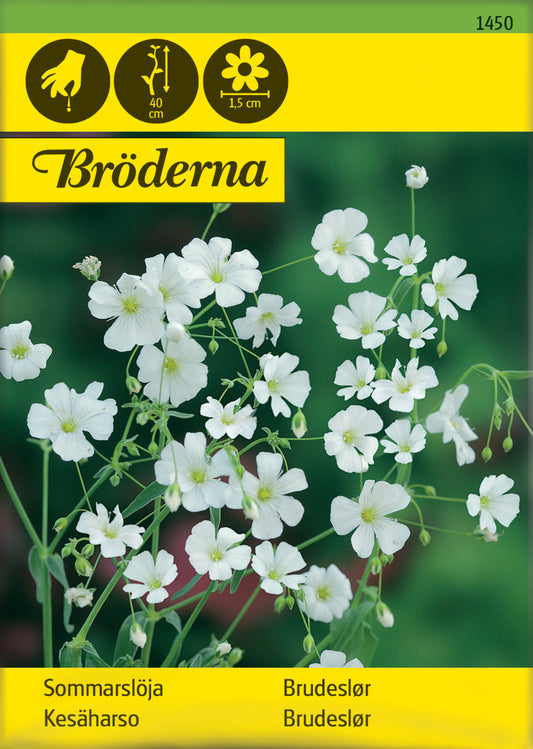 Sommarslöja, vit