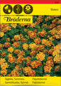 Tagetes, Sammets-, Bolero
