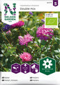 Aster, Dubbel, mix, Organic