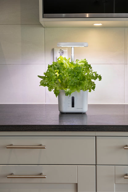 Urban Growing P4 Hydroponiskt Odlingssystem