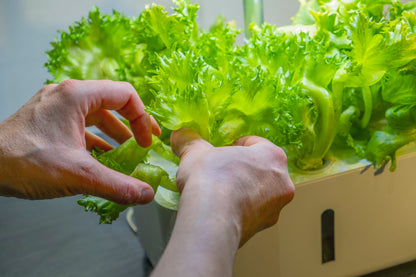 Urban Growing P8 Hydroponiskt Odlingssystem