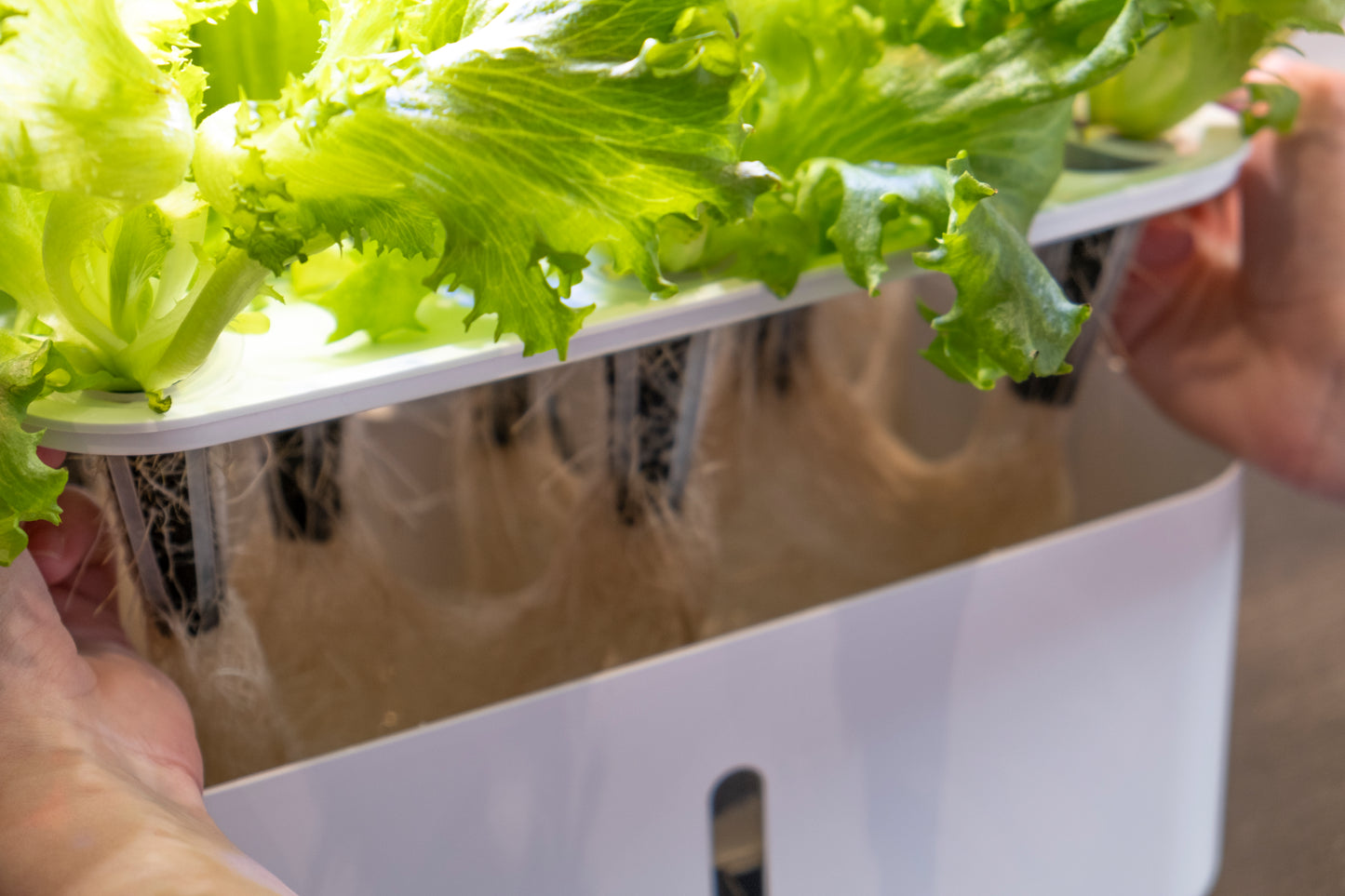 Urban Growing P8 Hydroponiskt Odlingssystem