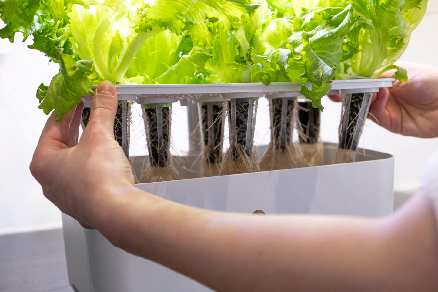 Urban Growing P8 Hydroponiskt Odlingssystem