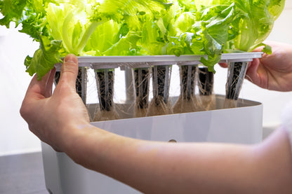 Urban Growing P8 Hydroponiskt Odlingssystem
