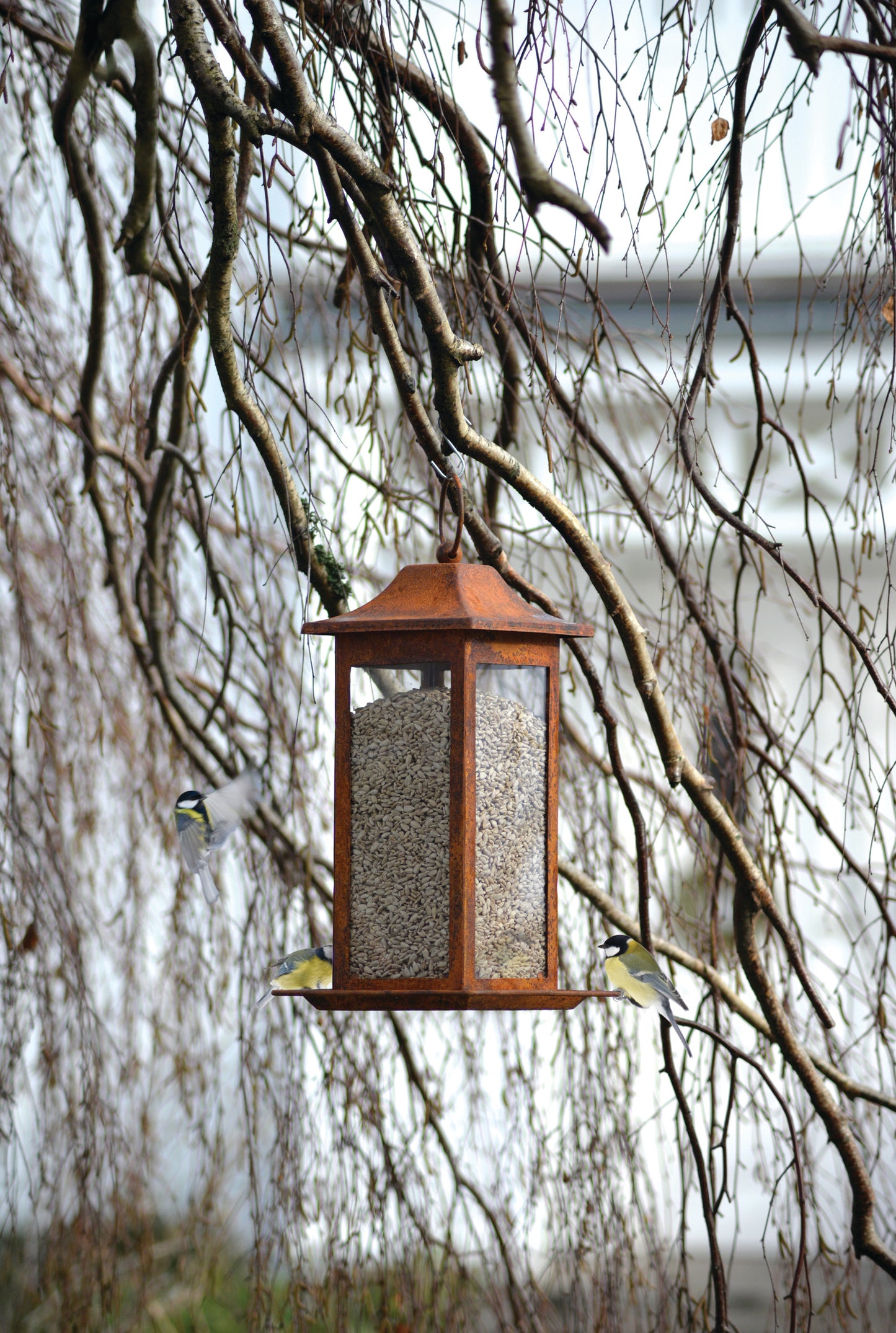 Fågelmatare frö Rusty 33cm