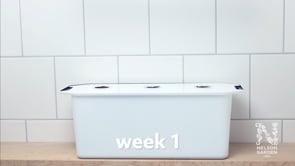 Hydroponisk odling kit med växtbelysning – komplett startkit för inomhusodling