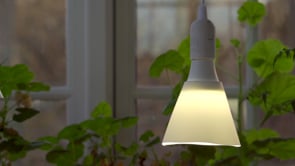 LED-lampa med skärm för växtbelysning – 15 W, E27