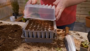 Minidrivhus Pluggbox