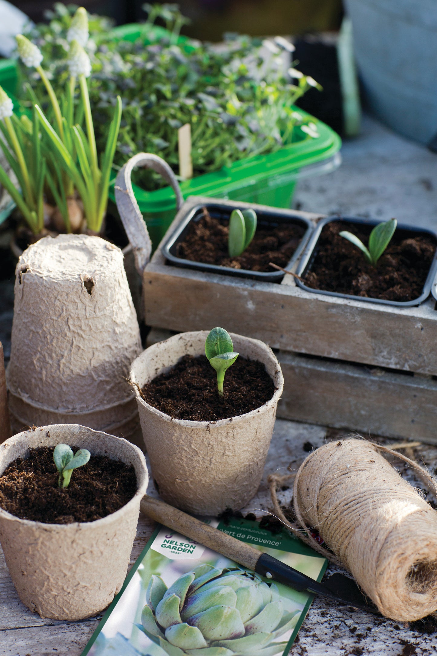 Rund Fiberkruka 8cm 12-Pack