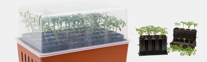 Minidrivhus Rootmaster brun 19,5x29 cm