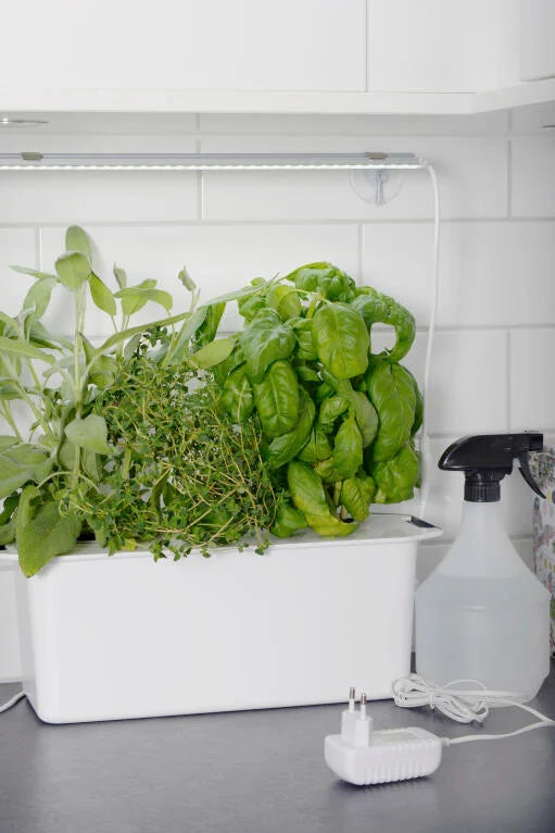 Hängare med sugpropp för växtbelysning