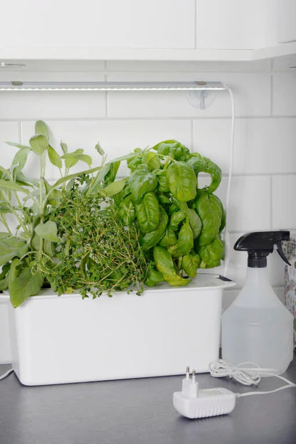 Hängare med sugpropp för växtbelysning